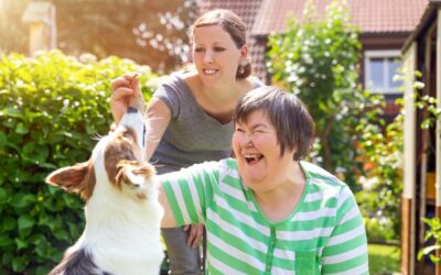 Guardianship Law Reforms 2020