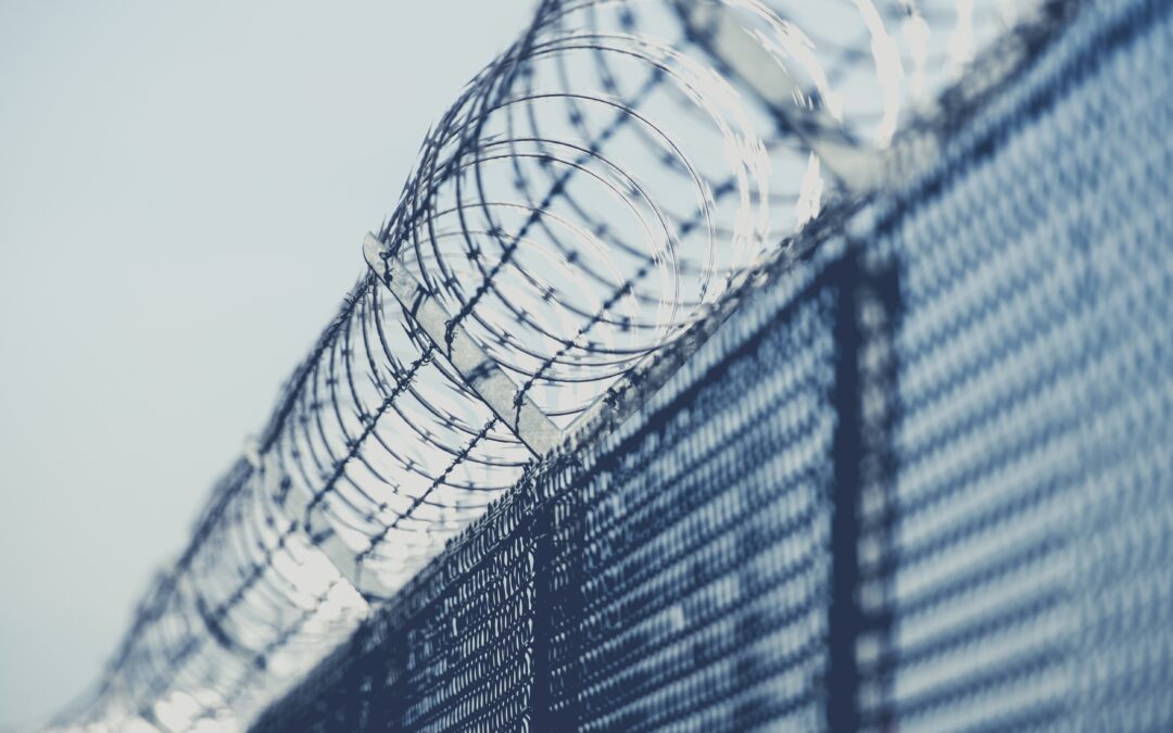 Restricted Area Barbed Fence Closeup Photo in Bluish Color Grading.