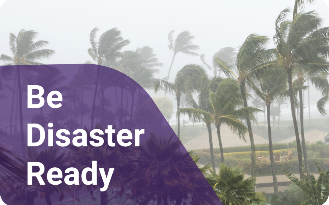 Palm trees blowing in gale force winds and rain. Purple overlay has text "Be Disaster Ready"